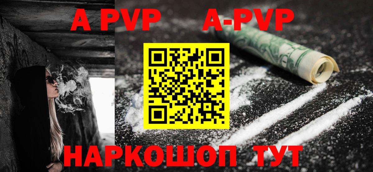 Alfa_PVP СК Великий Новгород