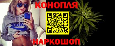 крисы Апшеронск