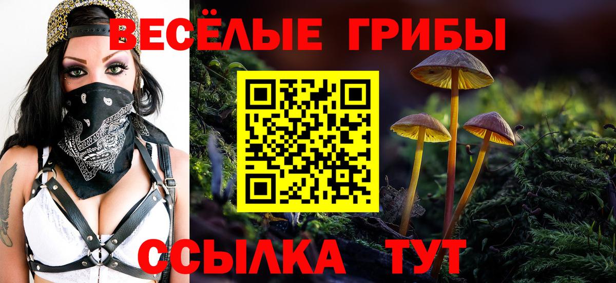 Галлюциногенные грибы GOLDEN TEACHER Великий Новгород